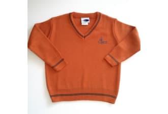 (24750) ROPA JERSEY MARIANO GRANDE